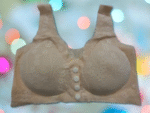 china bra - Image 3